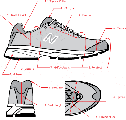 The anatomy of a running shoe