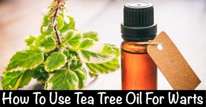 Tea Tree Oil For Warts
