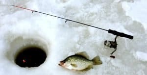 Ice fishing rods are specialized rods for this hobby